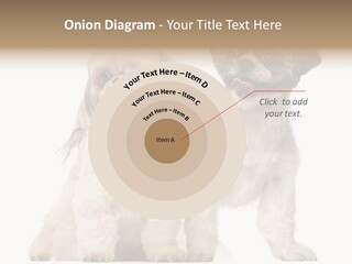 Gain Unhealthy Lose PowerPoint Template