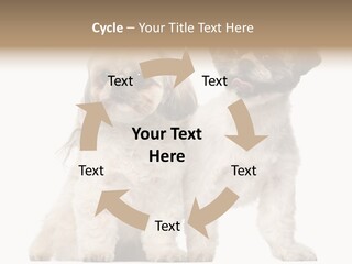 Gain Unhealthy Lose PowerPoint Template