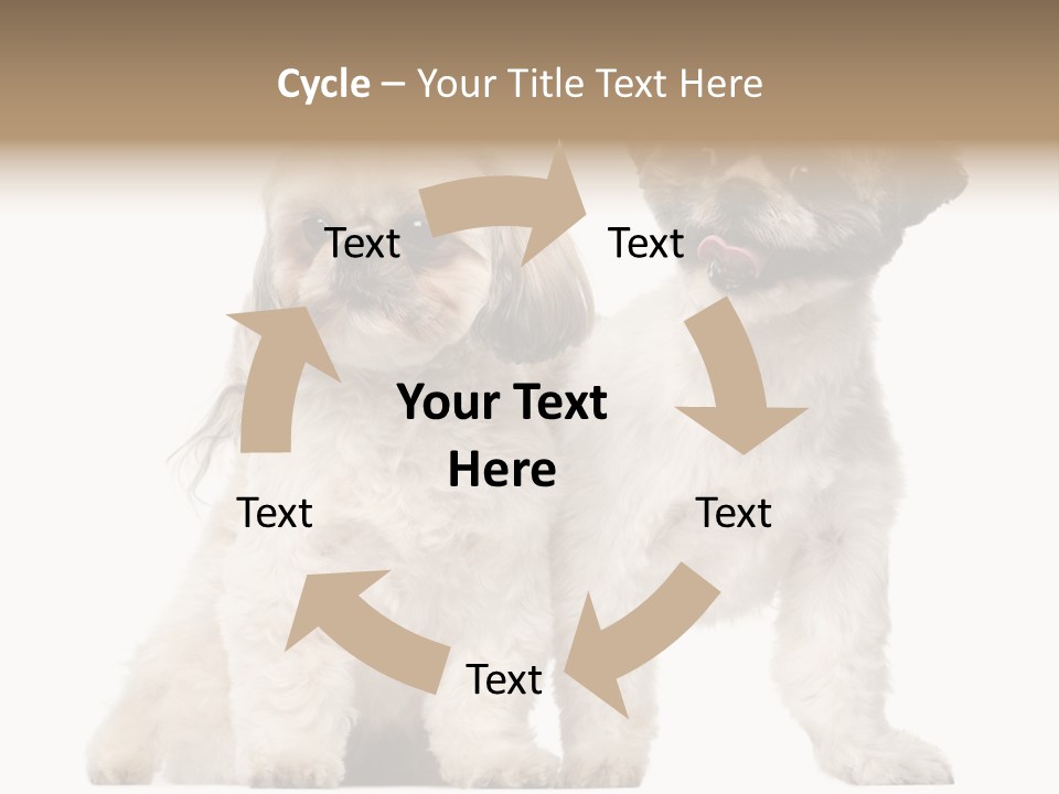 Gain Unhealthy Lose PowerPoint Template