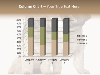 Gain Unhealthy Lose PowerPoint Template