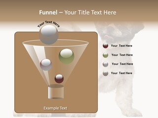 Gain Unhealthy Lose PowerPoint Template