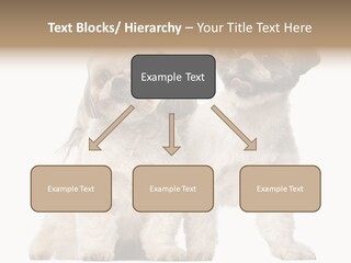 Gain Unhealthy Lose PowerPoint Template
