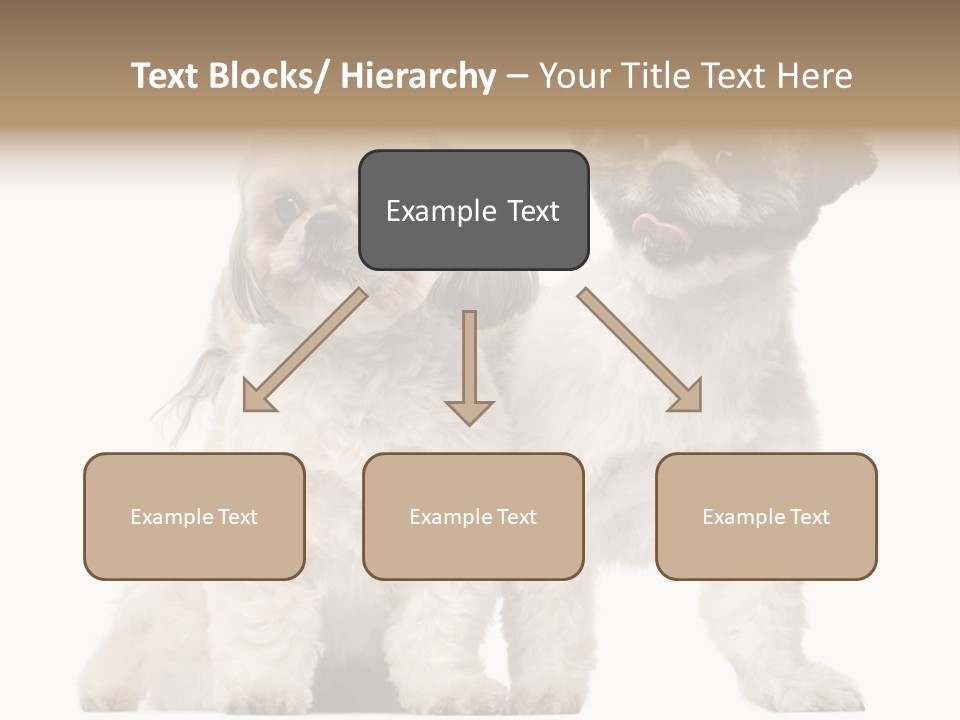 Gain Unhealthy Lose PowerPoint Template