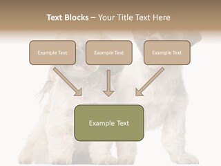 Gain Unhealthy Lose PowerPoint Template
