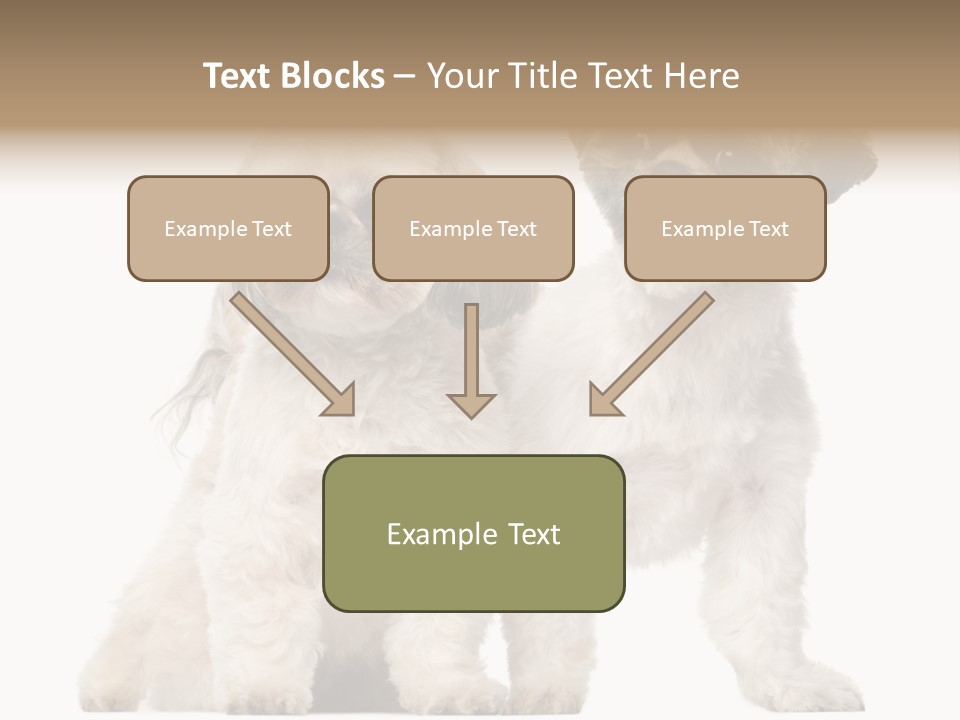 Gain Unhealthy Lose PowerPoint Template