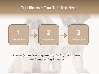 Gain Unhealthy Lose PowerPoint Template