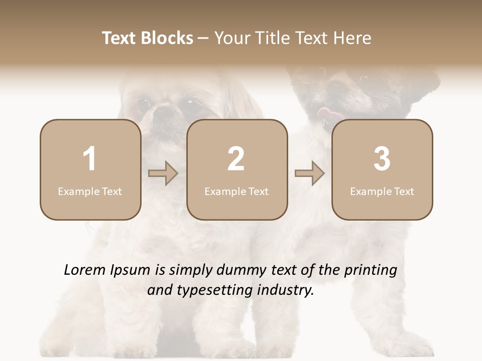 Gain Unhealthy Lose PowerPoint Template