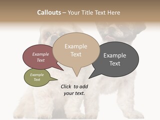 Gain Unhealthy Lose PowerPoint Template