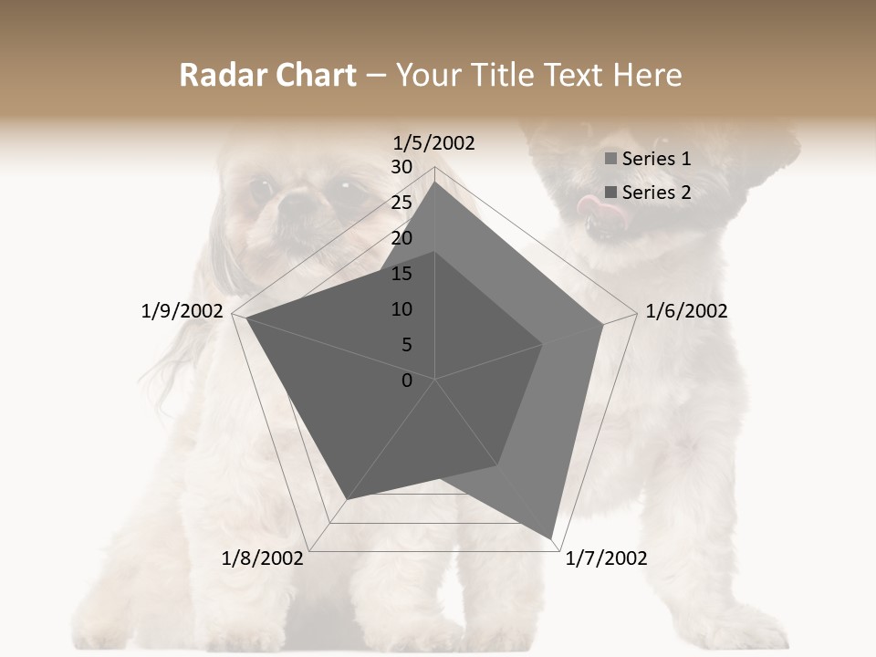 Gain Unhealthy Lose PowerPoint Template