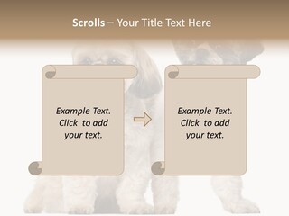 Gain Unhealthy Lose PowerPoint Template