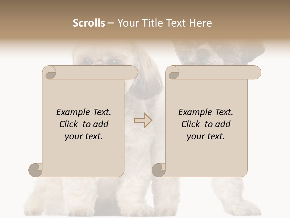 Gain Unhealthy Lose PowerPoint Template