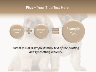 Gain Unhealthy Lose PowerPoint Template