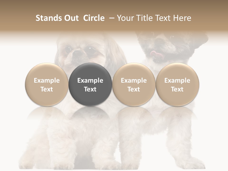 Gain Unhealthy Lose PowerPoint Template