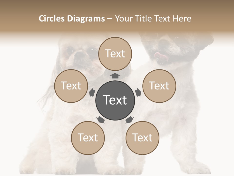 Gain Unhealthy Lose PowerPoint Template