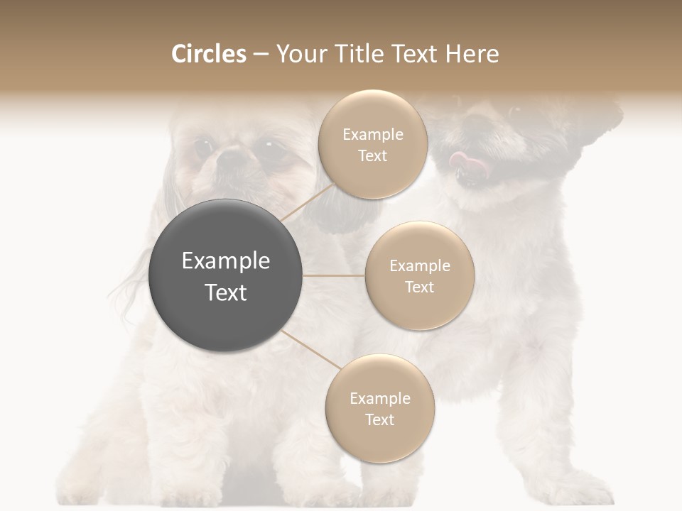 Gain Unhealthy Lose PowerPoint Template