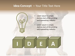 Gain Unhealthy Lose PowerPoint Template