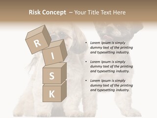 Gain Unhealthy Lose PowerPoint Template