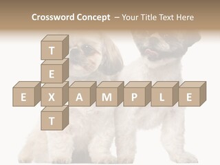 Gain Unhealthy Lose PowerPoint Template