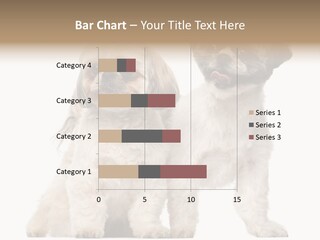 Gain Unhealthy Lose PowerPoint Template