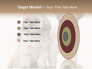 Gain Unhealthy Lose PowerPoint Template