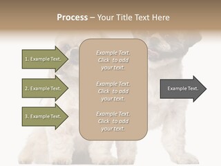 Gain Unhealthy Lose PowerPoint Template