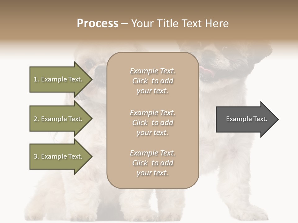 Gain Unhealthy Lose PowerPoint Template