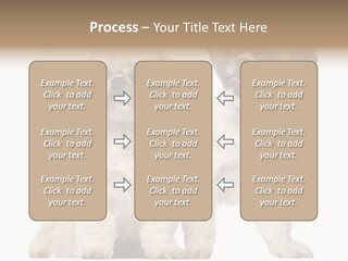 Gain Unhealthy Lose PowerPoint Template