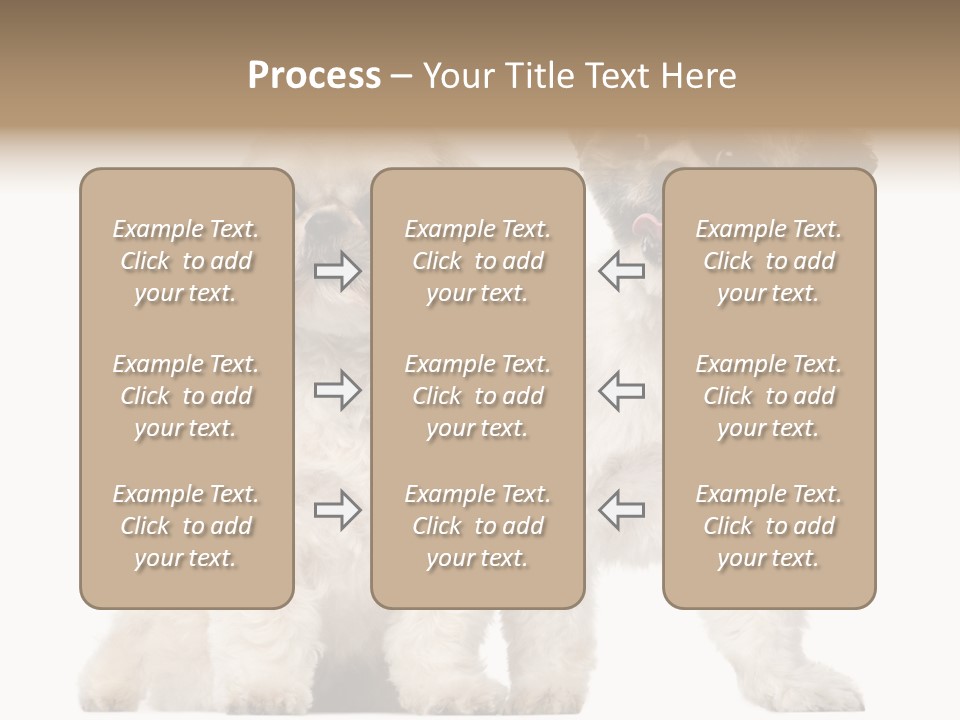 Gain Unhealthy Lose PowerPoint Template
