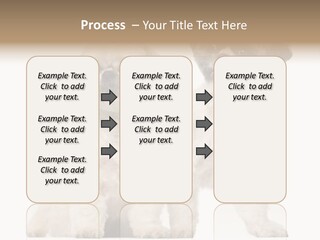 Gain Unhealthy Lose PowerPoint Template
