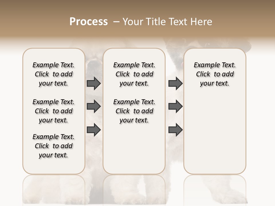Gain Unhealthy Lose PowerPoint Template