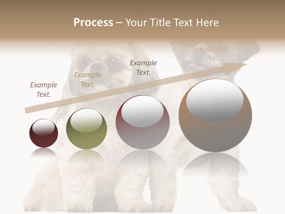 Gain Unhealthy Lose PowerPoint Template