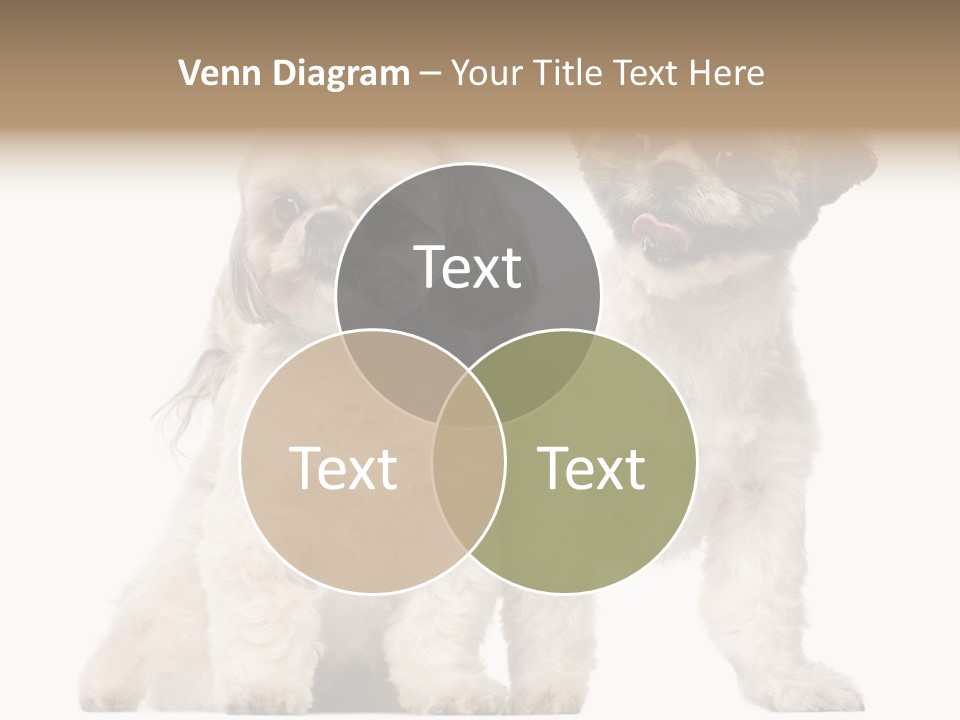 Gain Unhealthy Lose PowerPoint Template