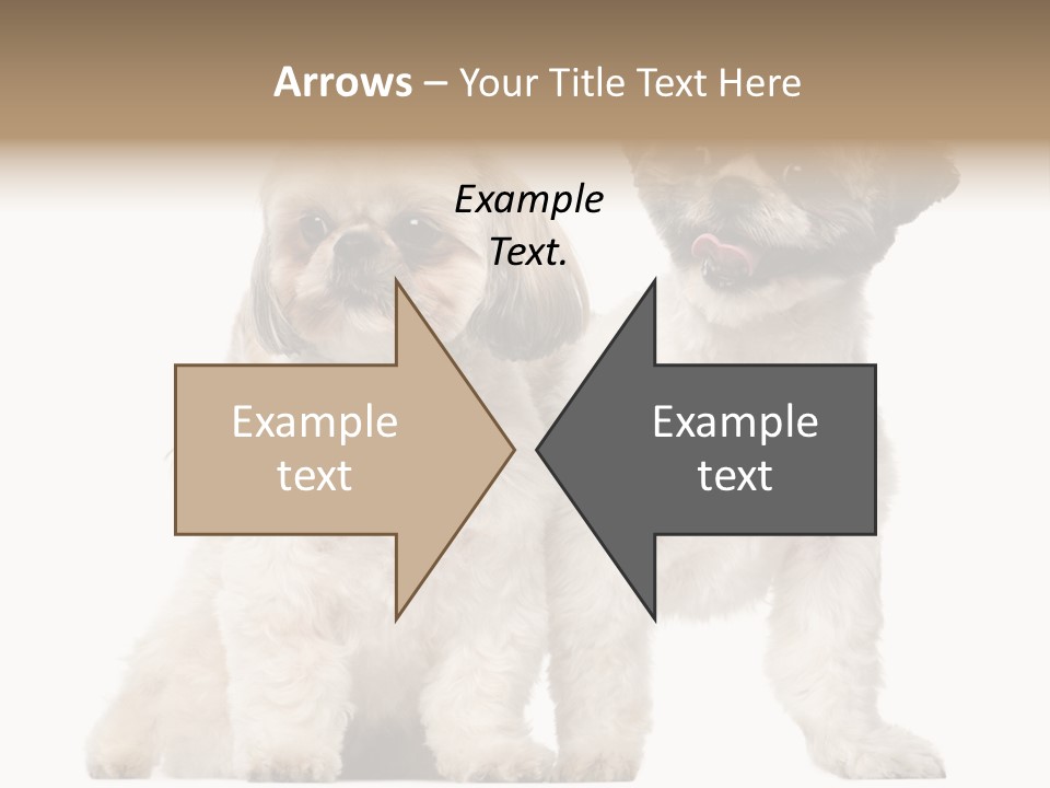 Gain Unhealthy Lose PowerPoint Template