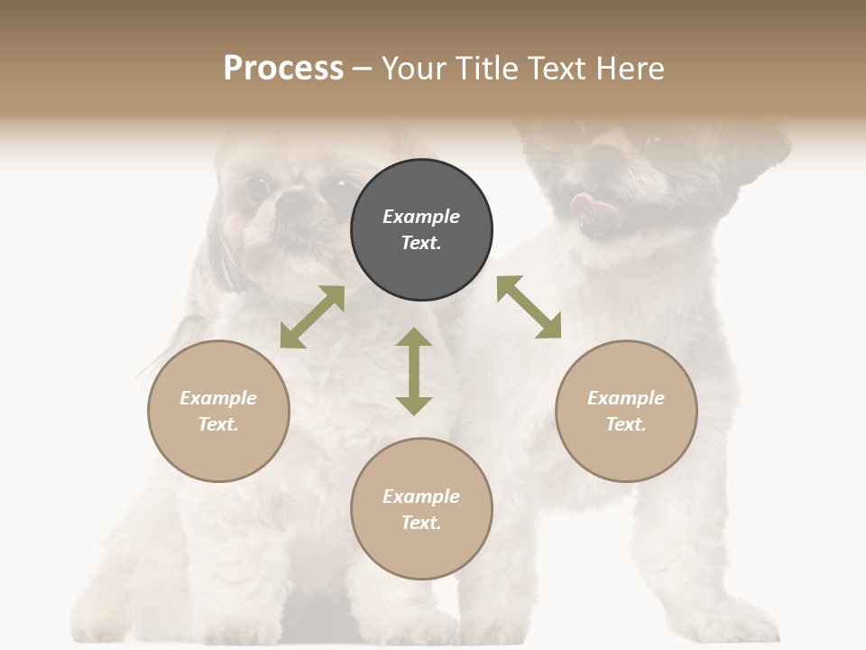 Gain Unhealthy Lose PowerPoint Template