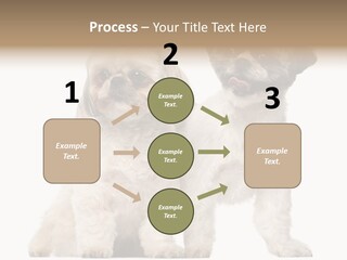 Gain Unhealthy Lose PowerPoint Template