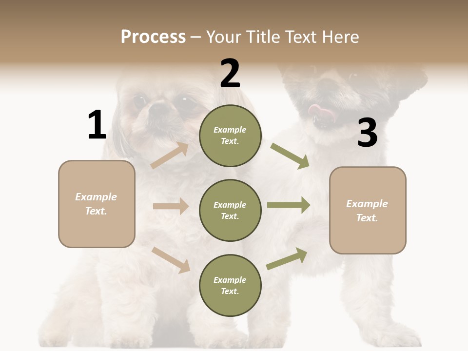Gain Unhealthy Lose PowerPoint Template