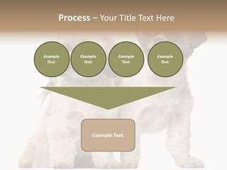 Gain Unhealthy Lose PowerPoint Template