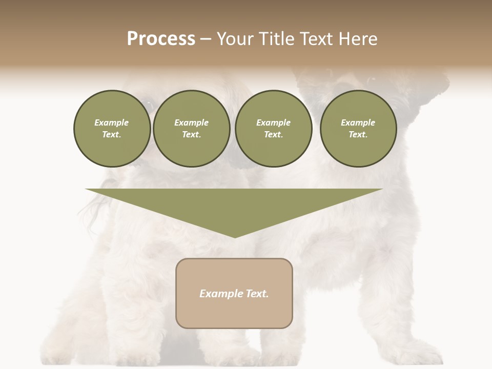 Gain Unhealthy Lose PowerPoint Template
