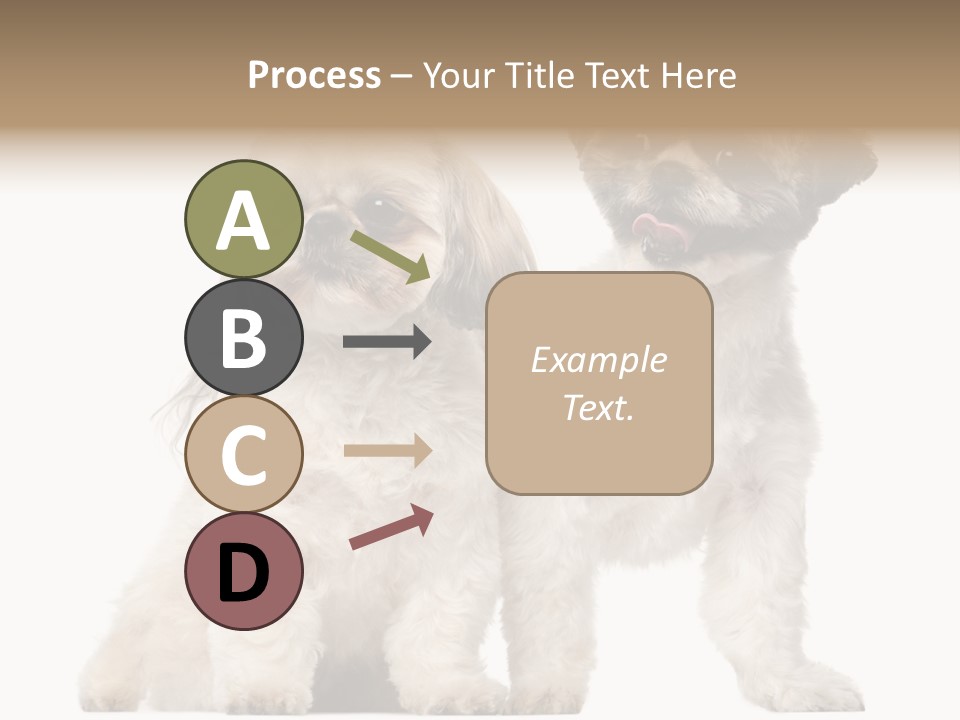 Gain Unhealthy Lose PowerPoint Template