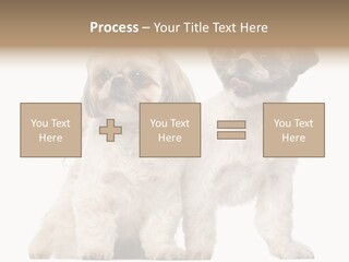 Gain Unhealthy Lose PowerPoint Template