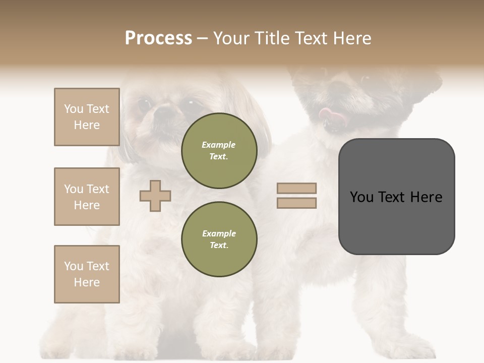 Gain Unhealthy Lose PowerPoint Template