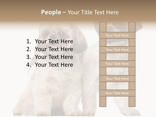 Gain Unhealthy Lose PowerPoint Template