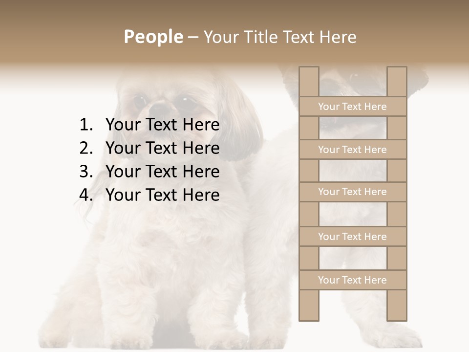 Gain Unhealthy Lose PowerPoint Template