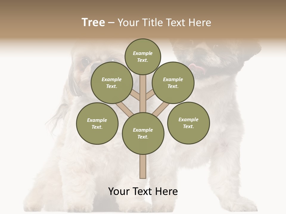 Gain Unhealthy Lose PowerPoint Template