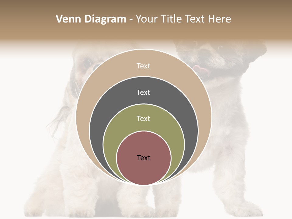 Gain Unhealthy Lose PowerPoint Template