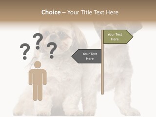 Gain Unhealthy Lose PowerPoint Template