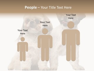 Gain Unhealthy Lose PowerPoint Template