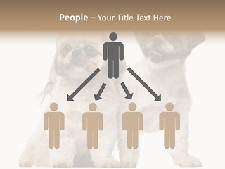 Gain Unhealthy Lose PowerPoint Template