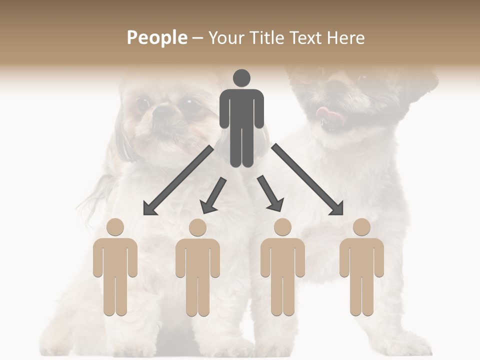 Gain Unhealthy Lose PowerPoint Template