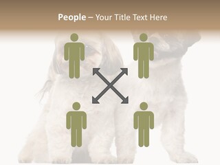 Gain Unhealthy Lose PowerPoint Template